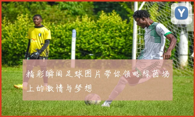 精彩瞬间足球图片带你领略绿茵场上的激情与梦想
