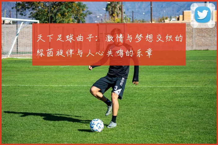 天下足球曲子：激情与梦想交织的绿茵旋律与人心共鸣的乐章