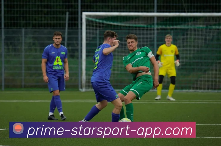 星空体育官网服务体系