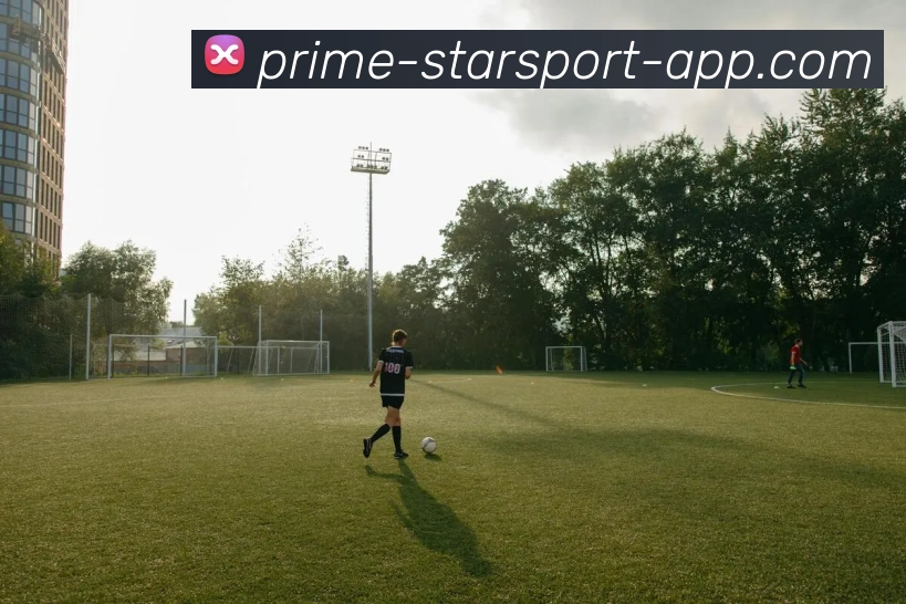 星空体育官网APP 体育赛事宣传图